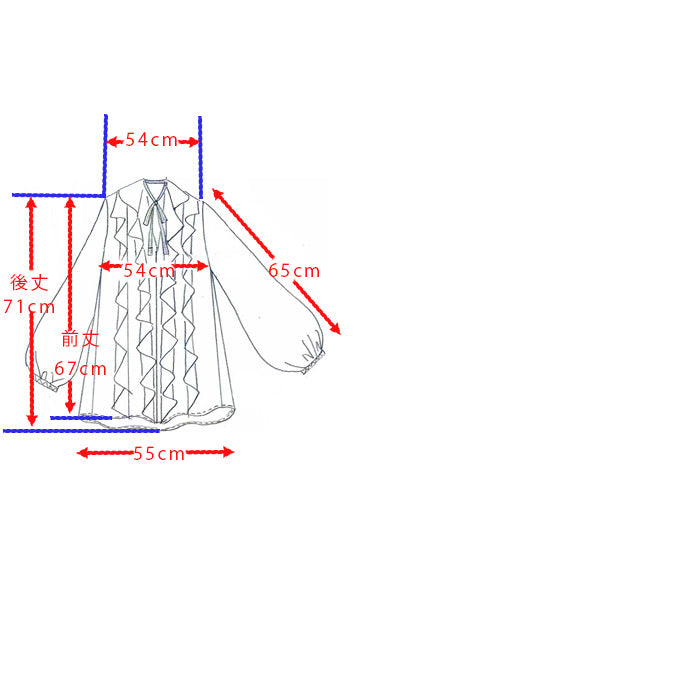 ラッフルフリルブラウス
